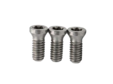 TORX PLUS® 8IP カターネジ